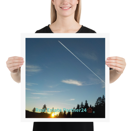 Attractive Sinari Poster with realestatepartner24 with house Logo