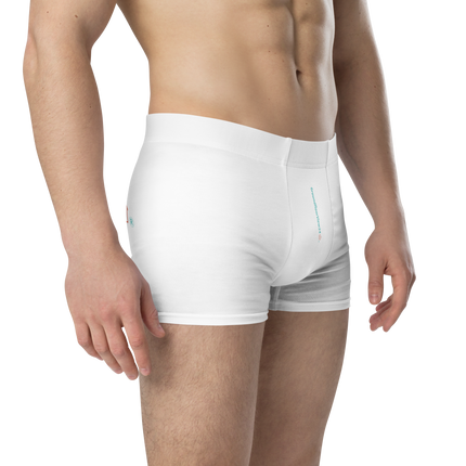 Boxer Briefs Groundfloorview24 with House