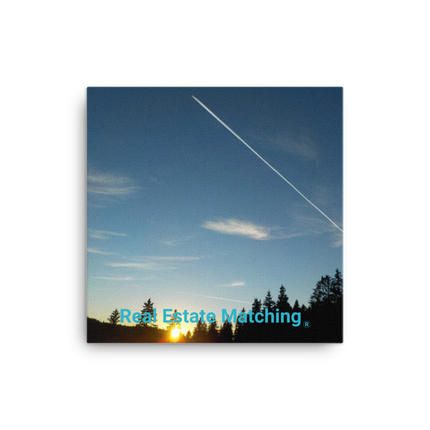 Attractive Sinari Canvas with realestatematching without key Logo
