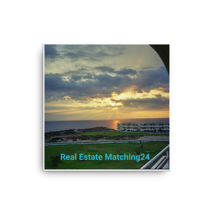 Natural View Canvas with realestatematching24 without key Logo