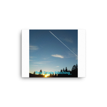 Attractive Sinari Canvas with realestatematching without key Logo
