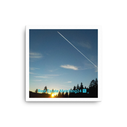 Attractive Sinari Canvas with realestatematching24 with key Logo