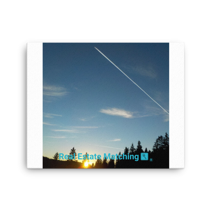 Attractive Sinari Canvas with realestatematching with key Logo