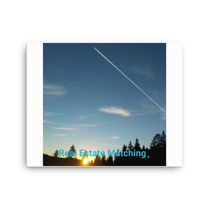 Attractive Sinari Canvas with realestatematching without key Logo