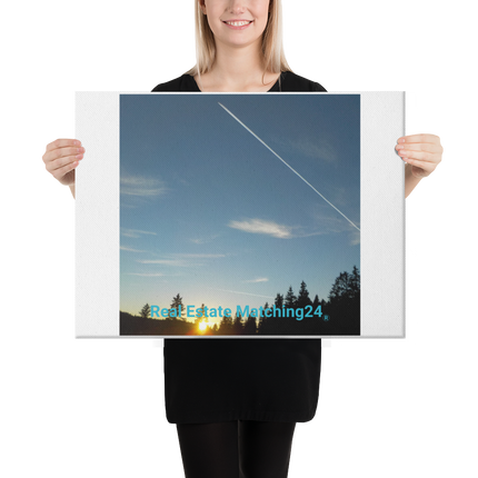 Attractive Sinari Canvas with realestatematching24 without key Logo