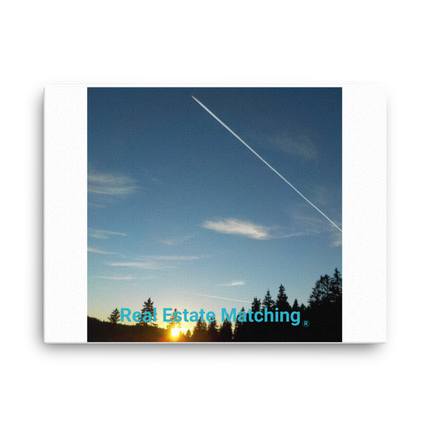Attractive Sinari Canvas with realestatematching without key Logo