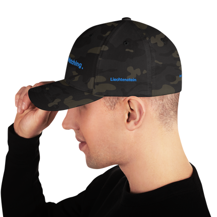 Liechtenstein Structured Cap Real Estate Matching with 3 Logos