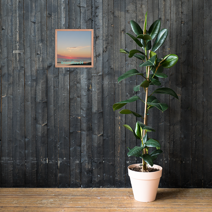 Sunset Sinari Framed poster with Groundfloor24 Logo