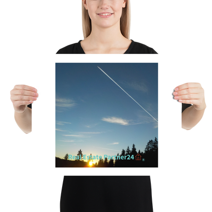 Attractive Sinari Poster with realestatepartner24 with house Logo