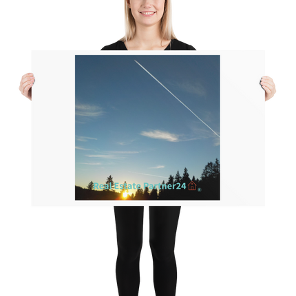 Attractive Sinari Poster with realestatepartner24 with house Logo
