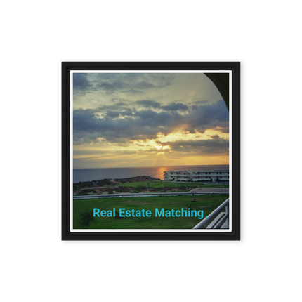 Natural View Framed canvas with realestatematching without key Logo