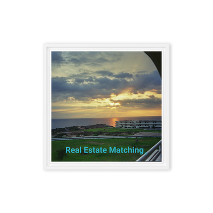 Natural View Framed canvas with realestatematching without key Logo