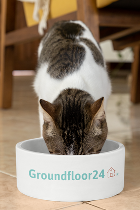 Pet bowl with Groundfloor24 Logo