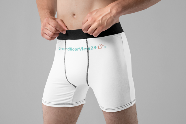 Boxer Briefs Groundfloorview24 with House