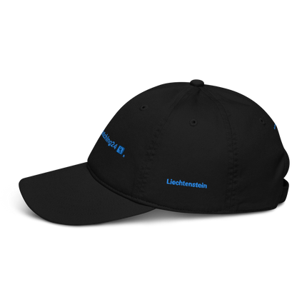 Liechtenstein Organic dad hat Real Estate Matching24 with 3 Logos.