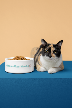 Pet bowl Groundfloorview24 with House