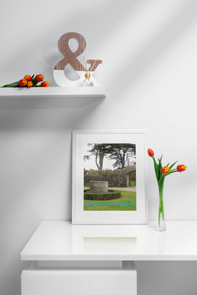 Nature's Wonders Canvas with realestatematching24 with key Logo