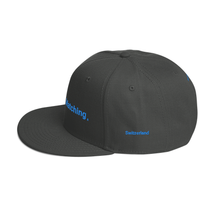 Switzerland Snapback Hat Real Estate Matching with 3 Logos