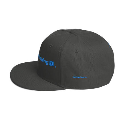 Netherlands Snapback Hat Real Estate Matching with 3 Logos.