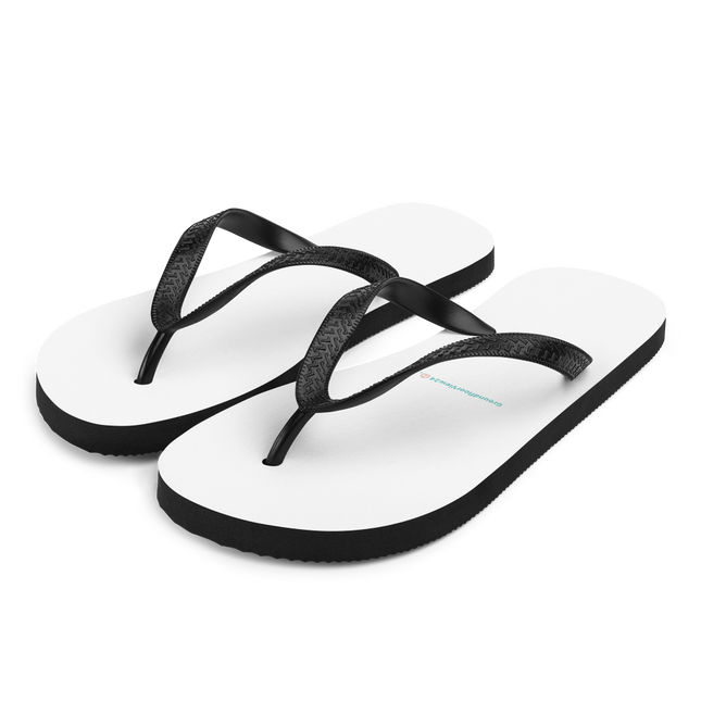 Flip-Flops Groundfloorview24 with House