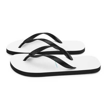 Flip-Flops Groundfloorview24 with House