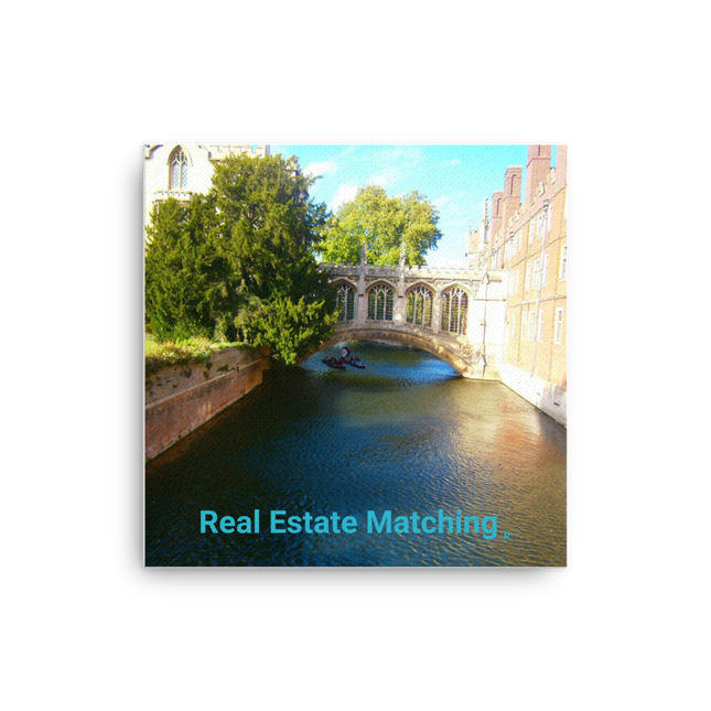 Beautiful Canel Thin canvas with realestatematching without key Logo