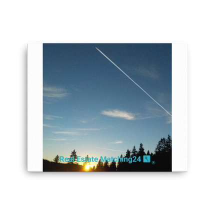 Attractive Sinari Thin canvas with realestatematching24 with key Logo