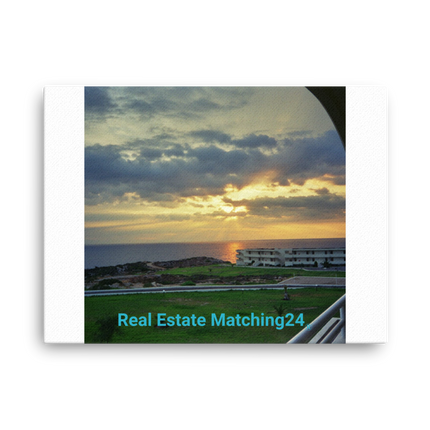 Natural View Thin canvas with realestatematching24 without key Logo