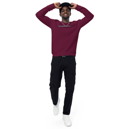 Unisex organic raglan sweatshirt Groundfloorview24 with House